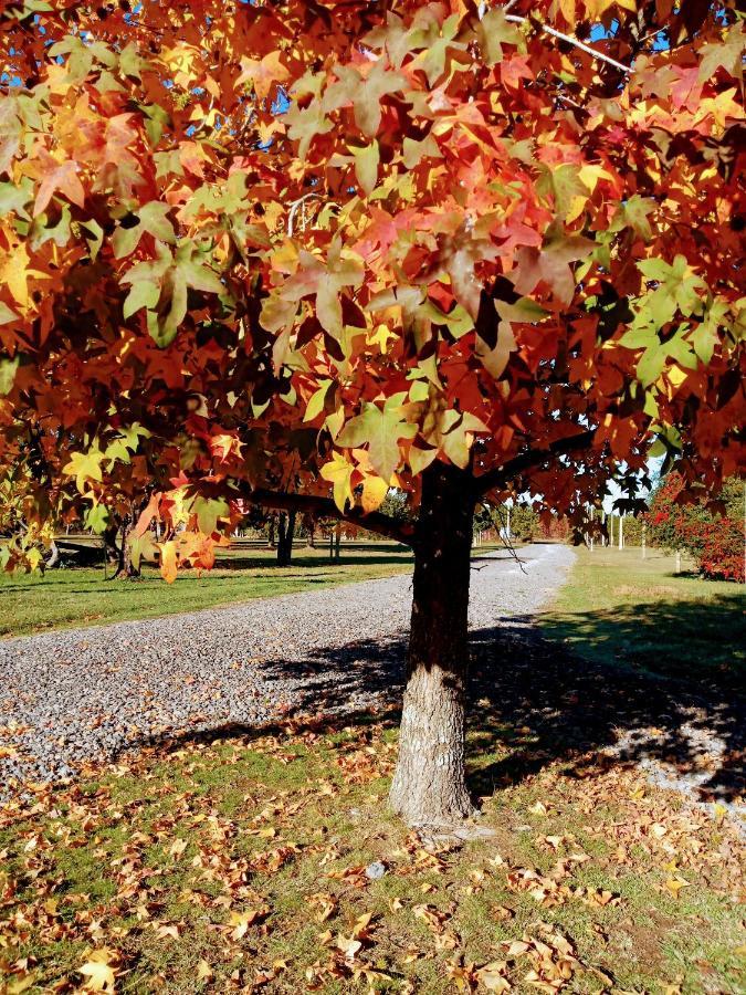 Casa De Campo Liquidambar San Pedro  Zewnętrze zdjęcie